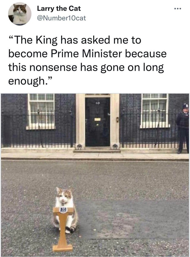 funny tweets - -  - Larry the Cat "The King has asked me to become Prime Minister because this nonsense has gone on long enough." 10