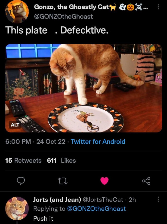 funny tweets - photo caption - This plate. Defecktive. 1 di Gonzo, the Ghoastly Cat &... Alt 24 Oct 22. Twitter for Android 15 611 22 Jorts and Jean 2h Push it go 1117 sup