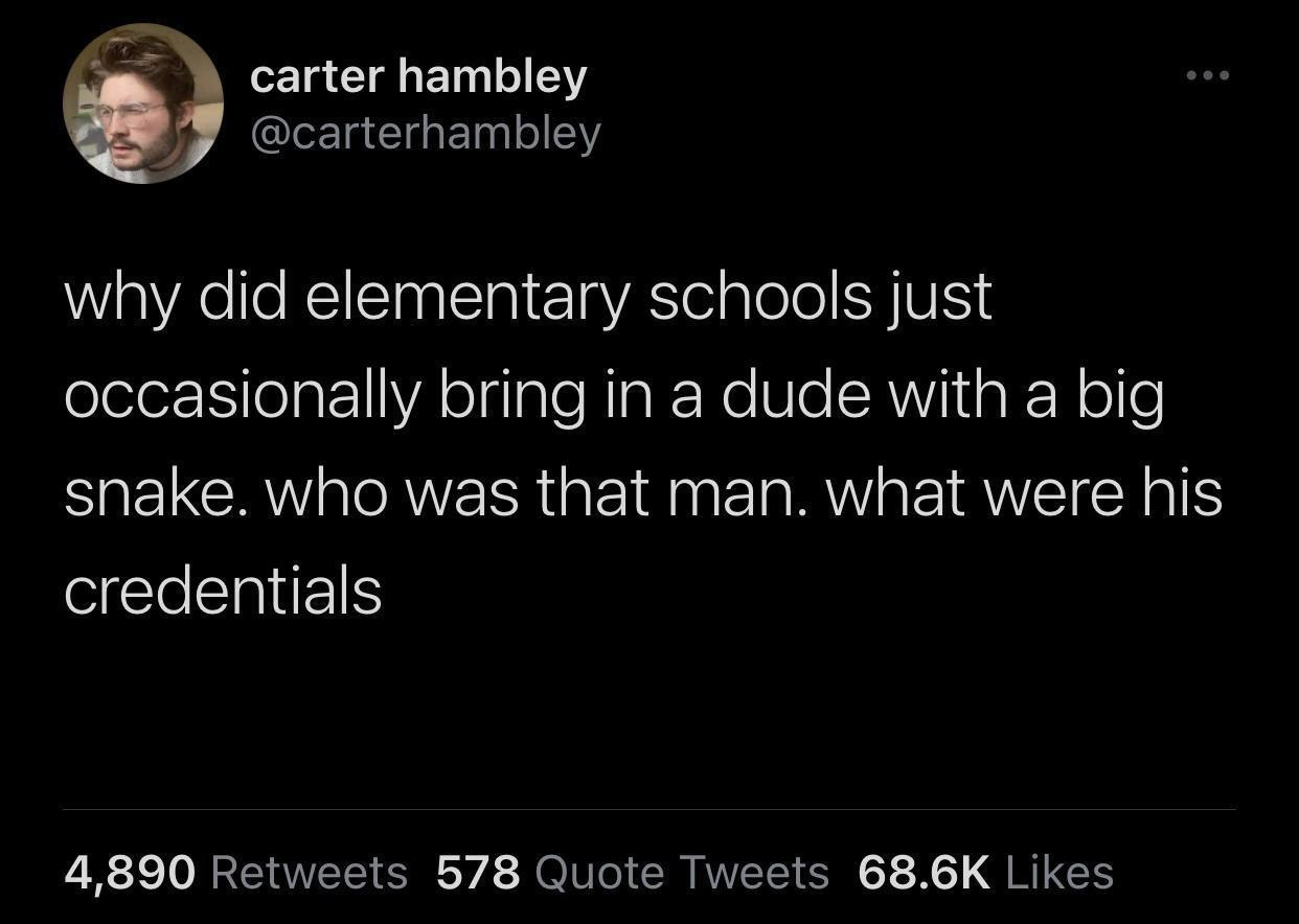 funny tweets - wall people dont like us anymore - carter hambley why did elementary schools just occasionally bring in a dude with a big snake. who was that man. what were his credentials 4,890 578 Quote Tweets