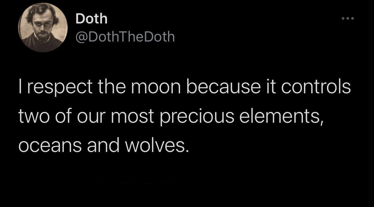 funny tweets - Funny meme - Doth I respect the moon because it controls two of our most precious elements, oceans and wolves.