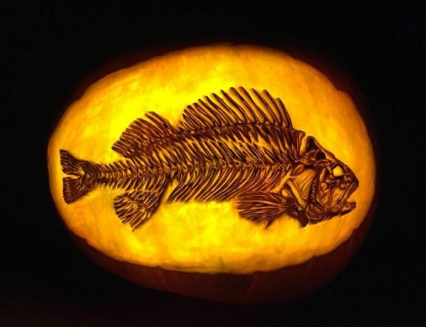 Only The Best Carved Pumpkins For Those Who Have Good Taste