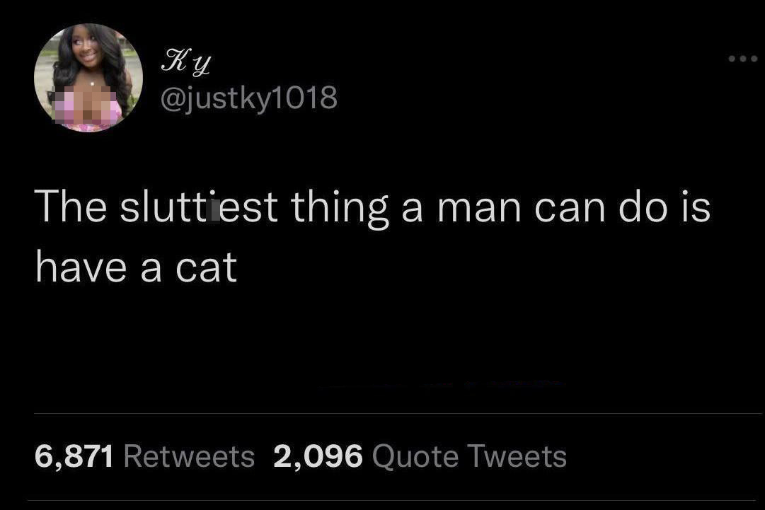 funny tweets - saw memes - The sluttiest thing a man can do is have a cat 6,871 2,096 Quote Tweets