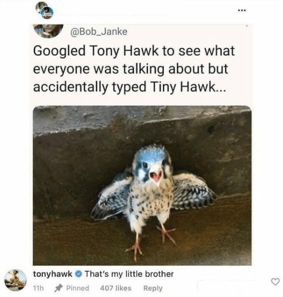 funny tweets - tiny hawk meme - Googled Tony Hawk to see what everyone was talking about but accidentally typed Tiny Hawk... tonyhawk That's my little brother Pinned 407 11h