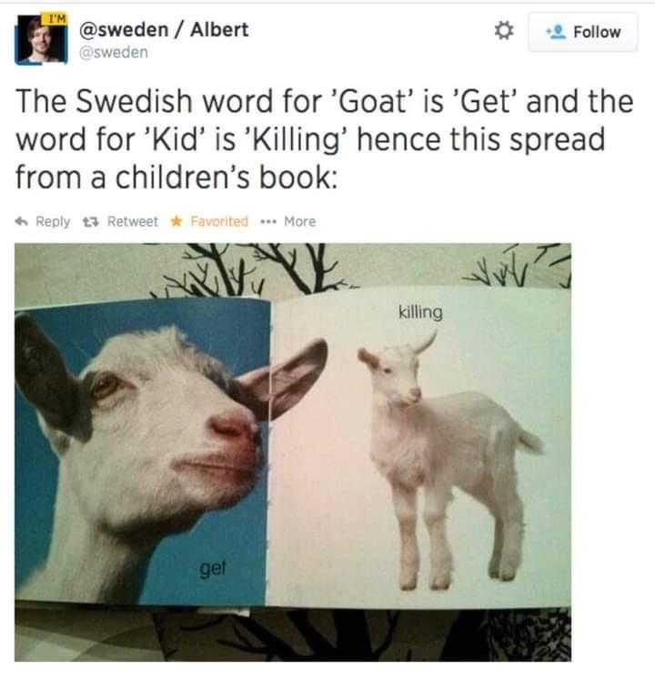 funny tweets - swedish memes - I'M Albert The Swedish word for 'Goat' is 'Get' and the word for 'Kid' is 'Killing' hence this spread from a children's book RetweetFavorited... More get killing vvv