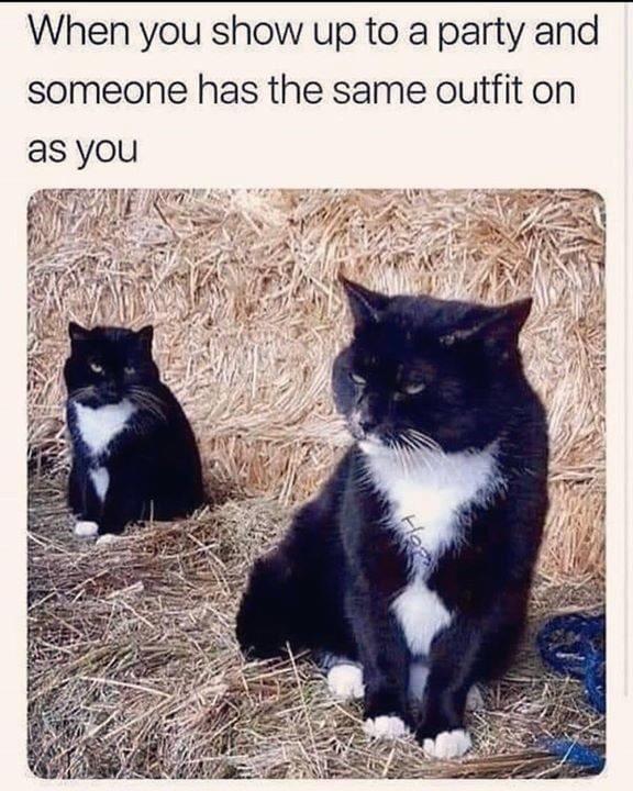 monday morning randomness - you show up with the same outfit - When you show up to a party and someone has the same outfit on as you