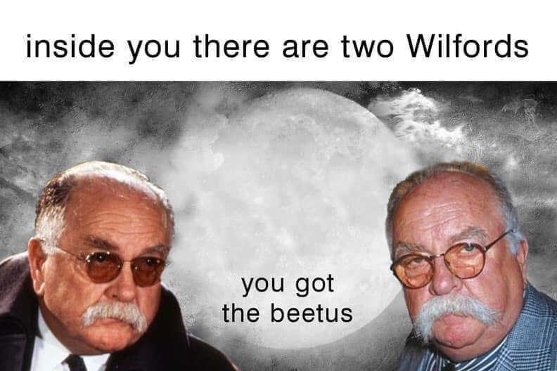 dank memes - human behavior - inside you there are two Wilfords you got the beetus