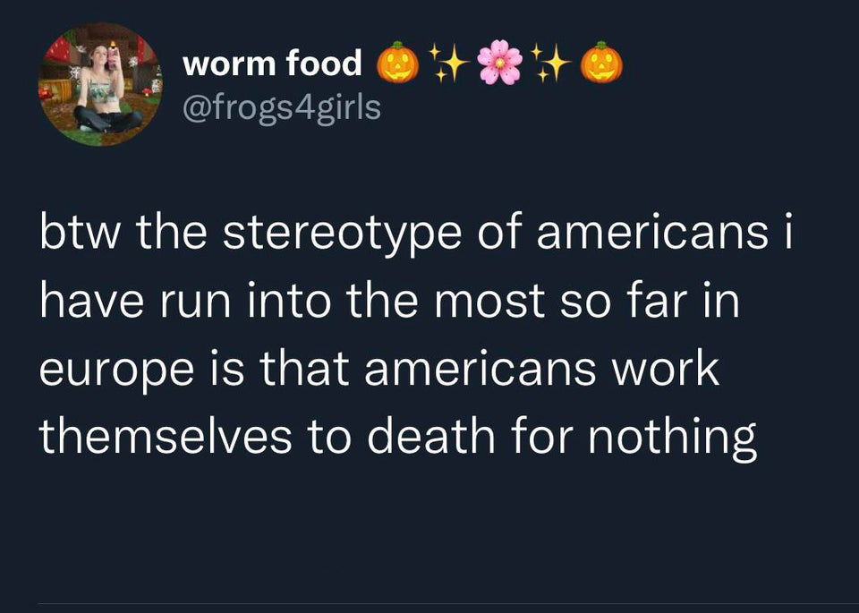 funny tweets - writing quotes - worm food btw the stereotype of americans i have run into the most so far in europe is that americans work themselves to death for nothing
