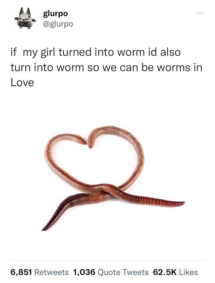 funny tweets - turn into a worm meme - glurpo ... if my girl turned into worm id also turn into worm so we can be worms in Love s 6,851 1,036 Quote Tweets