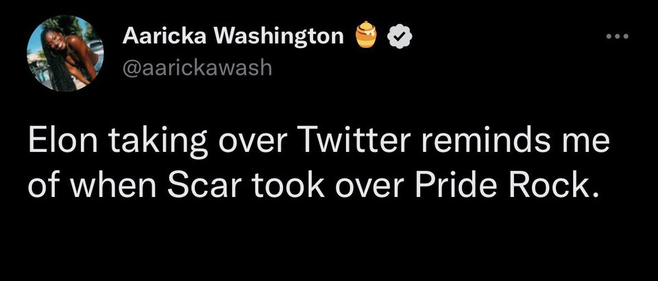 funny tweets - darkness - Aaricka Washington Elon taking over Twitter reminds me of when Scar took over Pride Rock.