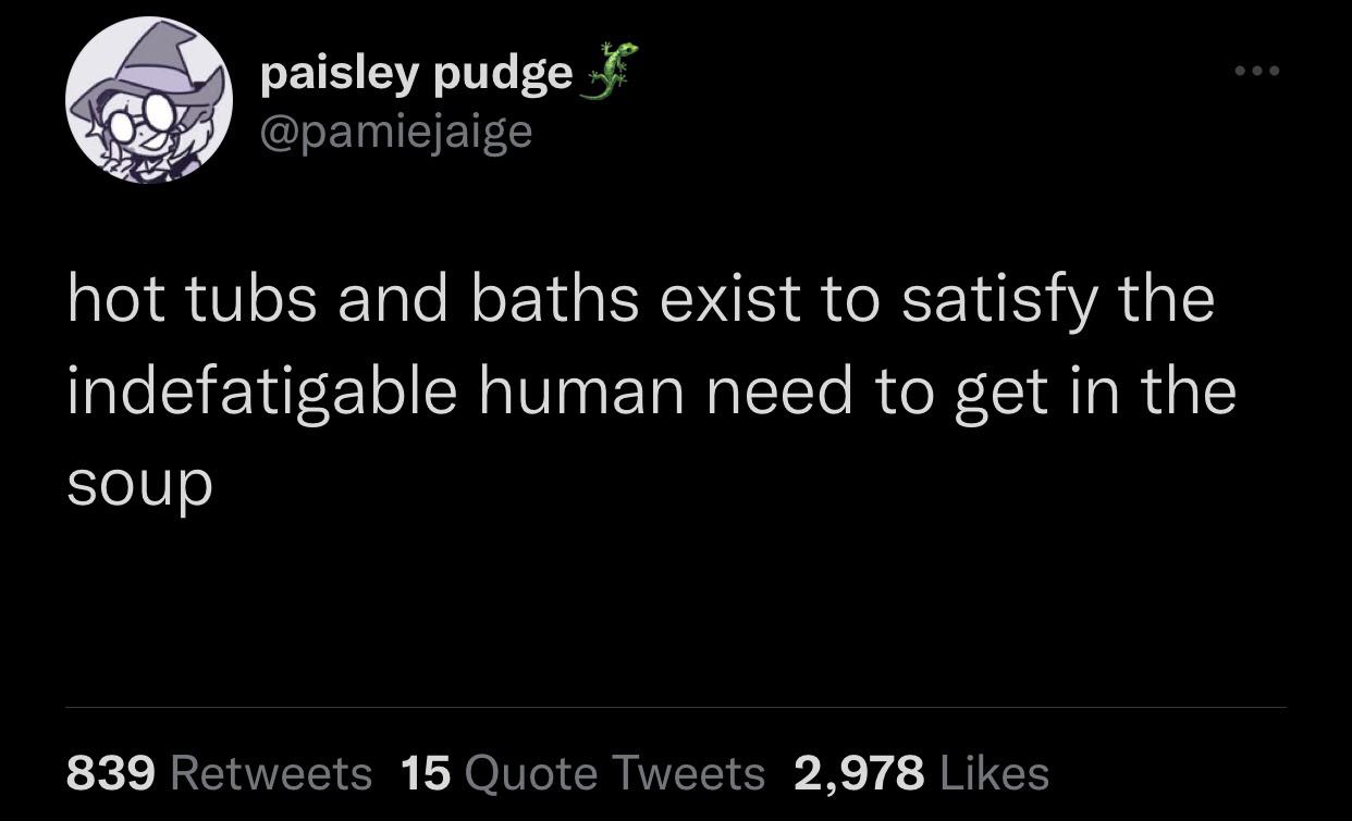 funny memes and cool pics - work out the kinks meme - paisley pudge hot tubs and baths exist to satisfy the indefatigable human need to get in the soup 839 15 Quote Tweets 2,978