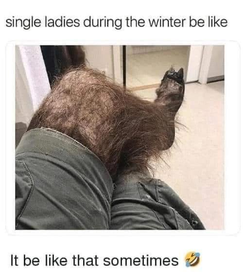 Fresh Pics And Memes - photo caption - single ladies during the winter be It be that sometimes