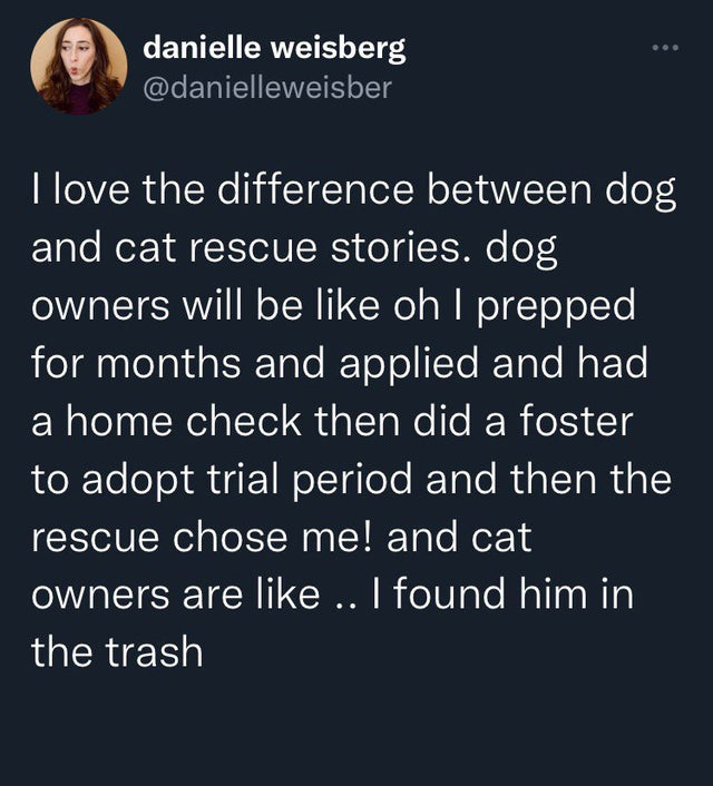 funny memes - News - danielle weisberg ... I love the difference between dog and cat rescue stories. dog owners will be oh I prepped for months and applied and had a home check then did a foster to adopt trial period and then the rescue chose me! and cat 