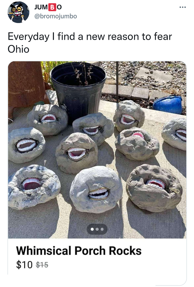 funny memes - munich re - Jumbo Everyday I find a new reason to fear Ohio Whimsical Porch Rocks $10 $15