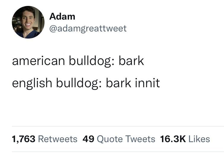 funny memes - elon musk tweet meme generator - Adam american bulldog bark english bulldog bark innit 1,763 49 Quote Tweets