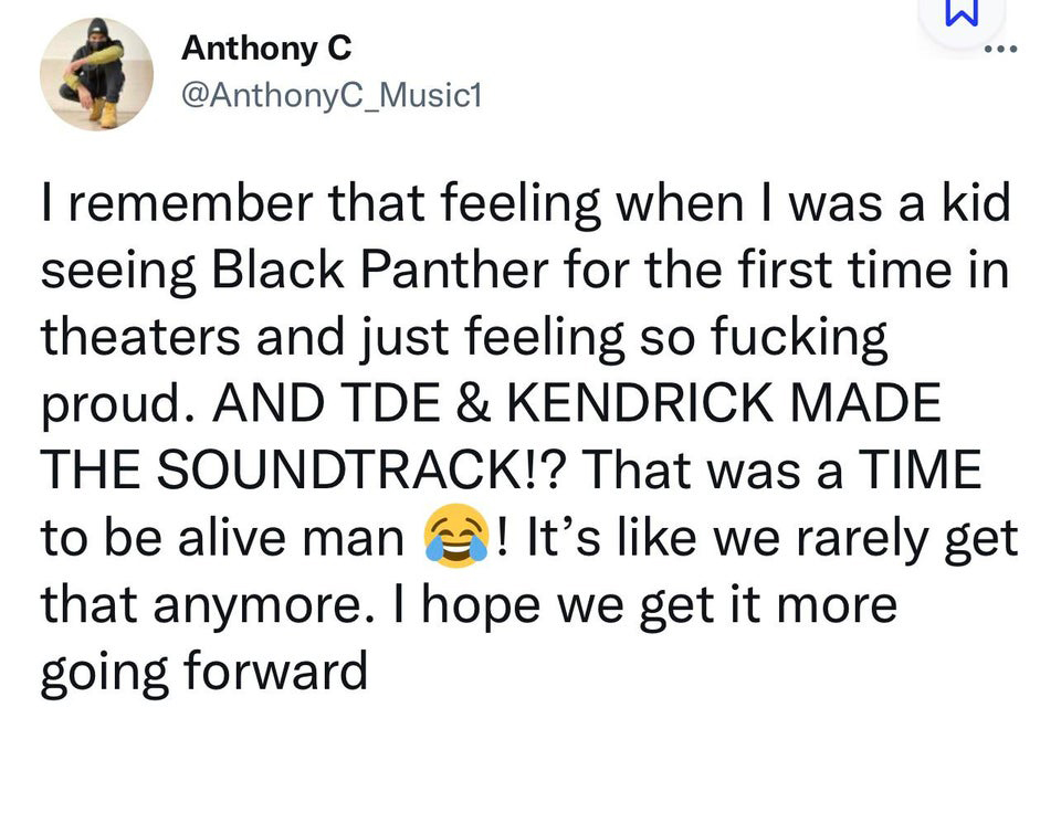 funny memes - Photograph - Anthony C 3 I remember that feeling when I was a kid seeing Black Panther for the first time in theaters and just feeling so fucking proud. And Tde & Kendrick Made The Soundtrack!? That was a Time to be alive man! It's we rarely