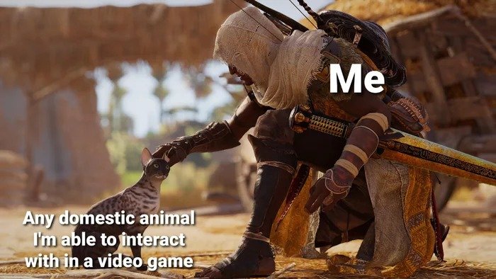 gaming memes - assassin's creed origins wallpapers 4k - Any domestic animal I'm able to interact with in a video game Me