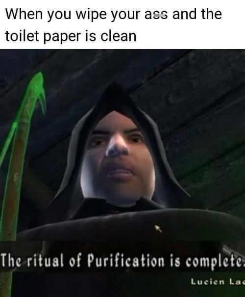 gaming memes - ritual of purification is complete - When you wipe your ass and the toilet paper is clean The ritual of Purification is complete. Lucien Lac