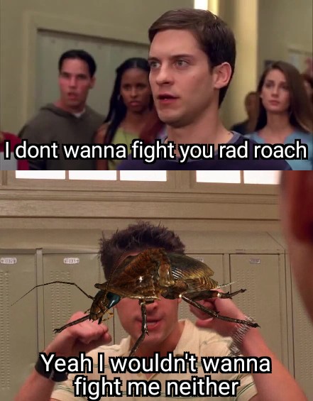gaming memes - photo caption - I dont wanna fight you rad roach www........ C1933 Yeah I wouldn't wanna fight me neither