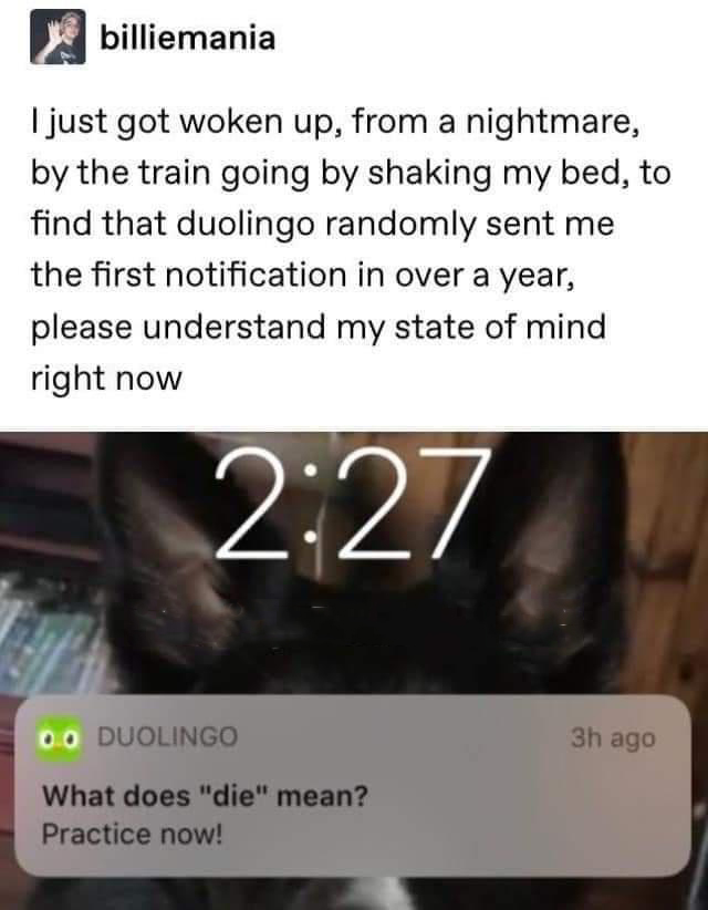 funny pics and memes - duolingo posts - billiemania I just got woken up, from a nightmare, by the train going by shaking my bed, to find that duolingo randomly sent me the first notification in over a year, please understand my state of mind right now 0.0