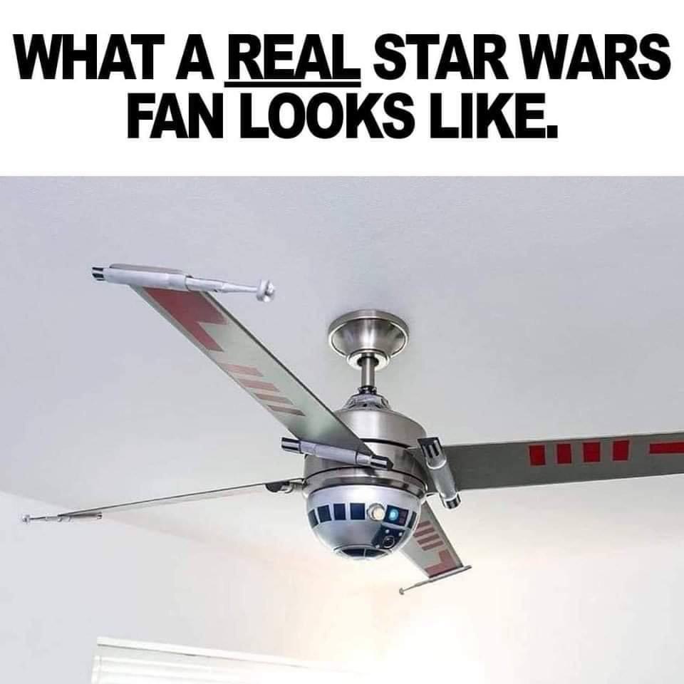 funny pics and memes - real star wars fan - What A Real Star Wars Fan Looks .
