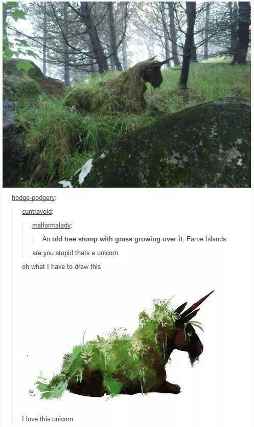 funny pics and memes - faroe islands unicorn tree - hodgepodgery cuntravoid malformalady An old tree stump with grass growing over it, Faroe Islands are you stupid thats a unicorn oh what I have to draw this I love this unicom