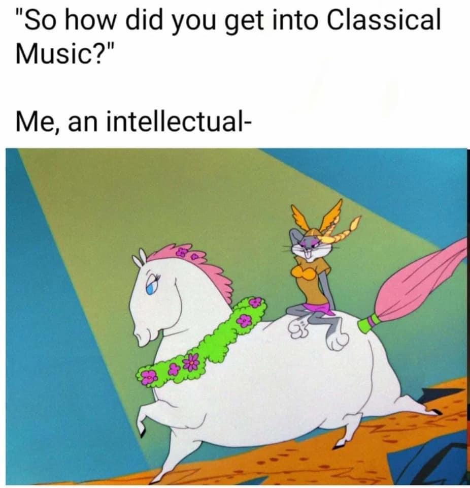 funny pics and memes - whats opera doc - "So how did you get into Classical Music?" Me, an intellectual