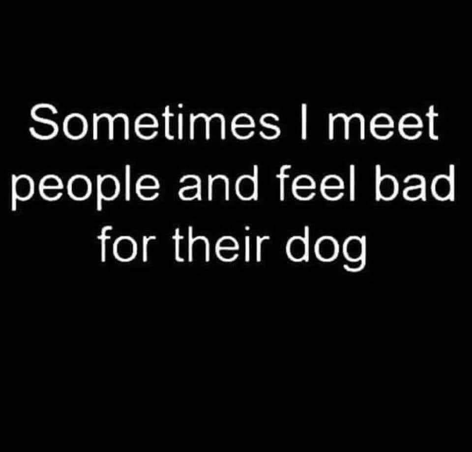 funny pics and memes - one more day diamond rio lyrics - Sometimes I meet people and feel bad for their dog