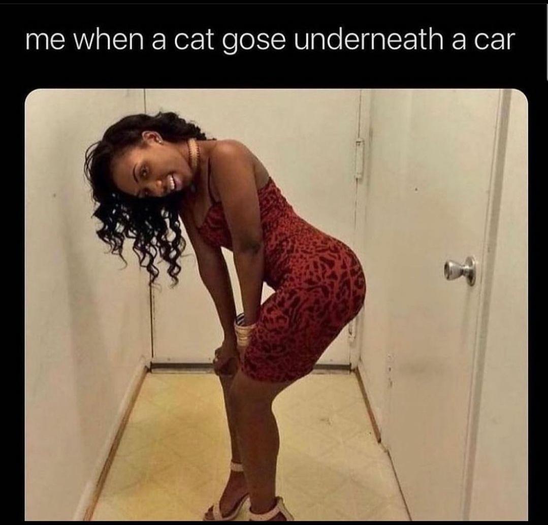 monday morning randomness - shoulder - me when a cat gose underneath a car