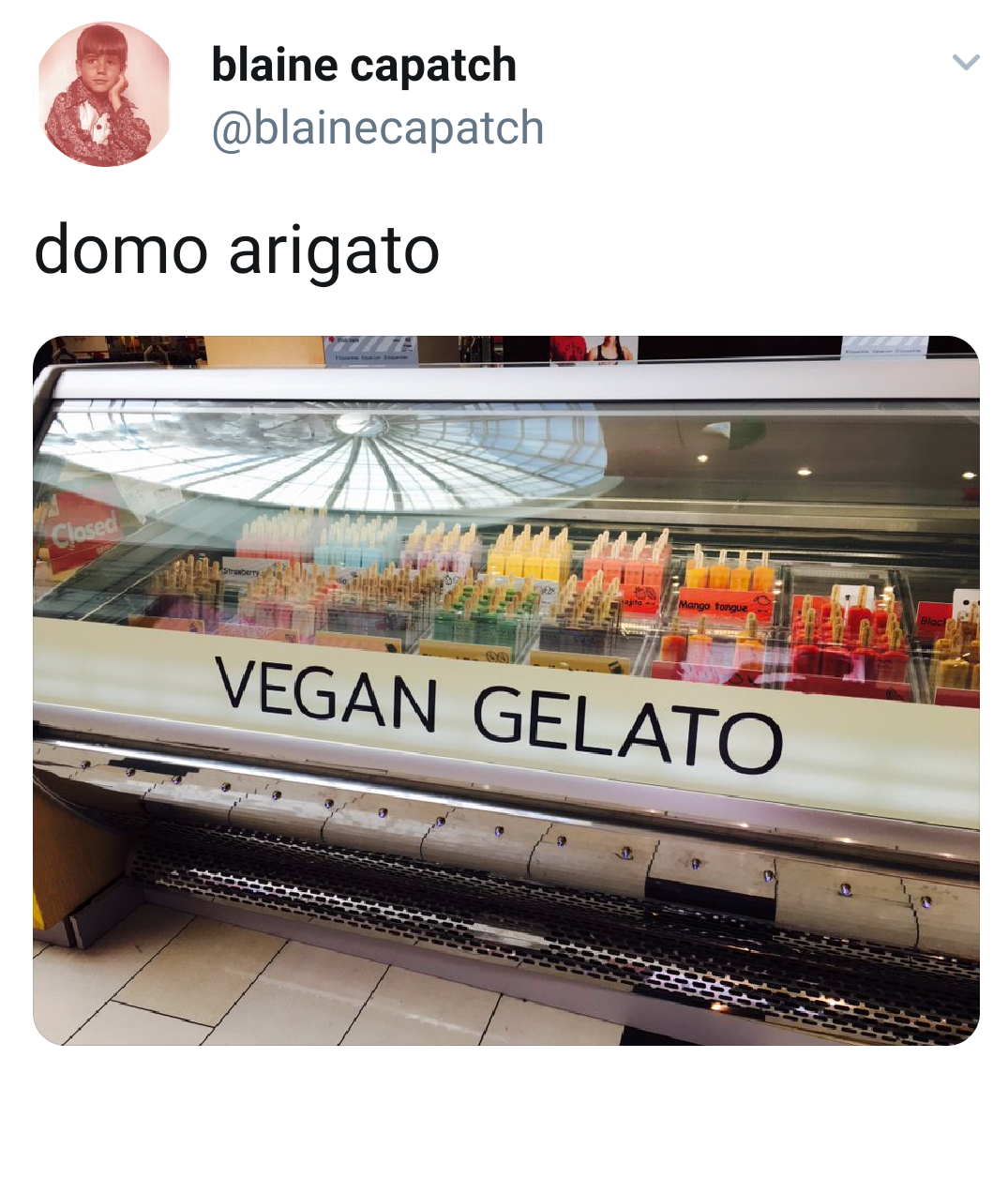 funny tweets - blaine capatch domo arigato Pelet M Vegan Gelato