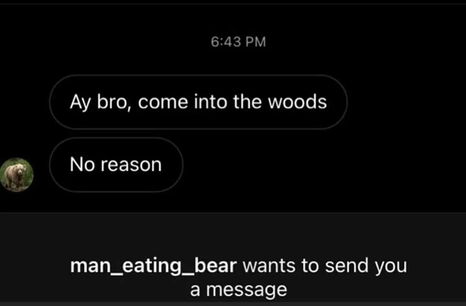 funny memes - Funny meme - Ay bro, come into the woods No reason man_eating_bear wants to send you a message