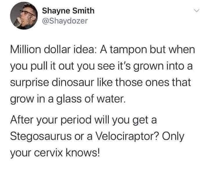 funny memes - iamsrk - Shayne Smith Million dollar idea A tampon but when you pull it out you see it's grown into a surprise dinosaur those ones that grow in a glass of water. After your period will you get a Stegosaurus or a Velociraptor? Only your cervi
