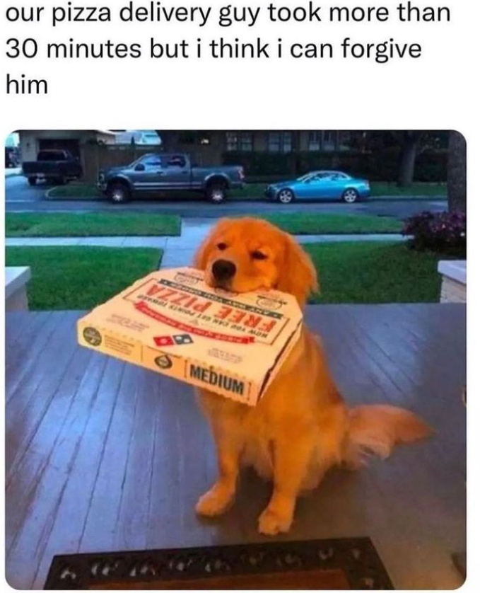 funny memes - dog - our pizza delivery guy took more than 30 minutes but i think i can forgive him See Mo Uzzi En 42 Medium