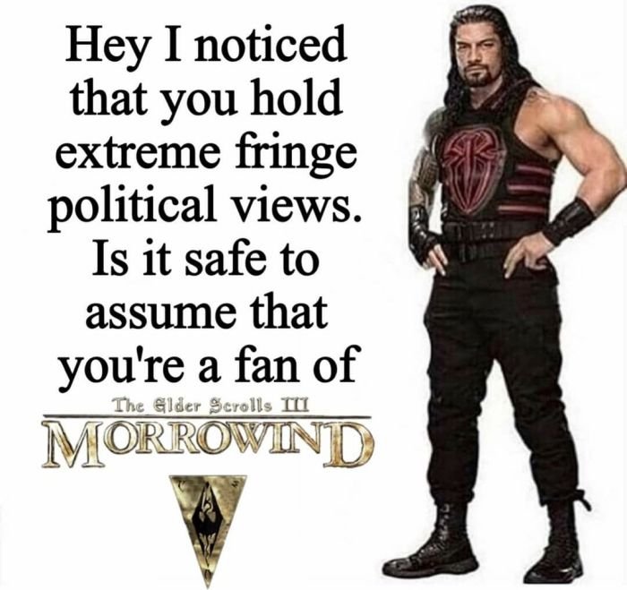 gaming memes - hey i noticed you were stalking children - Hey I noticed that you hold extreme fringe political views. Is it safe to assume that you're a fan of The Elder Scrolls Iii Morrowind S.