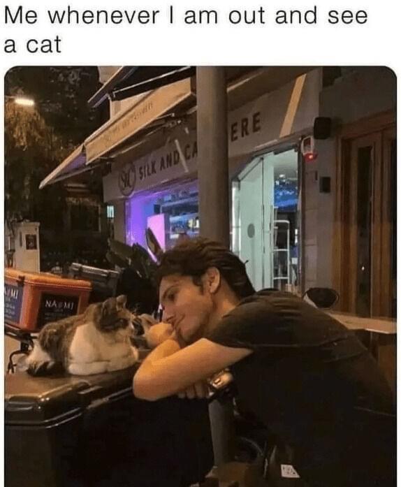 fresh memes - photo caption - Me whenever I am out and see a cat Mi Na Mi X And Ca Sc Silk And Ere
