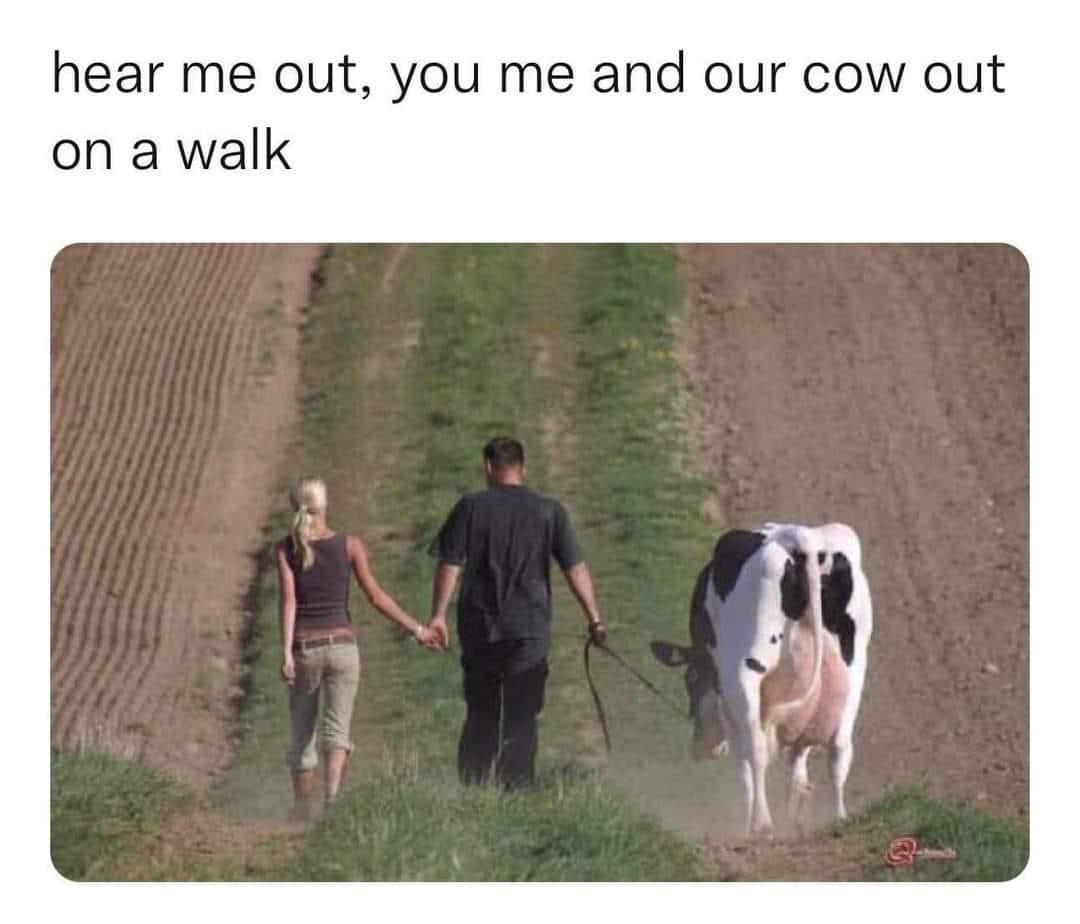 fresh memes - hear me out you and me cow - hear me out, you me and our cow out on a walk