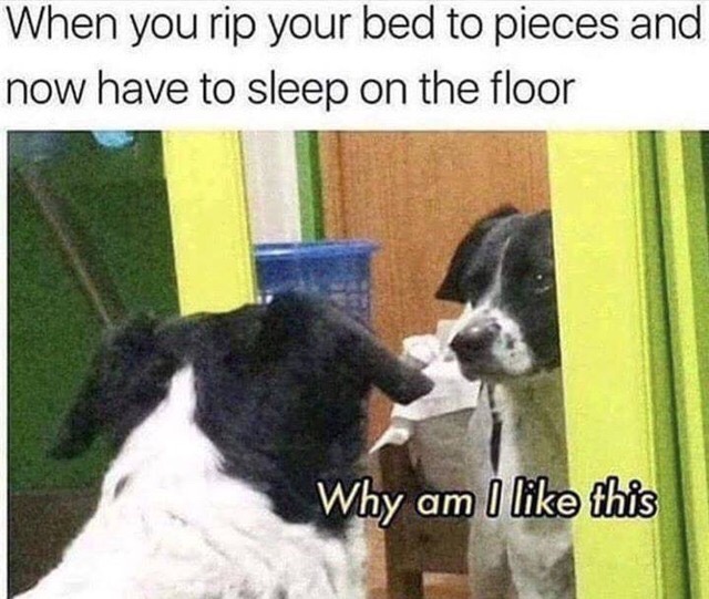 fresh memes - you tear up your bed and have - When you rip your bed to pieces and now have to sleep on the floor Why am I this