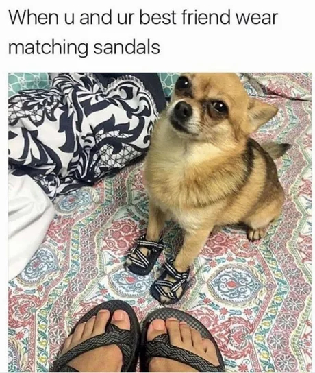monday morning randomness memes - one of us has to change meme - When u and ur best friend wear matching sandals 7974797