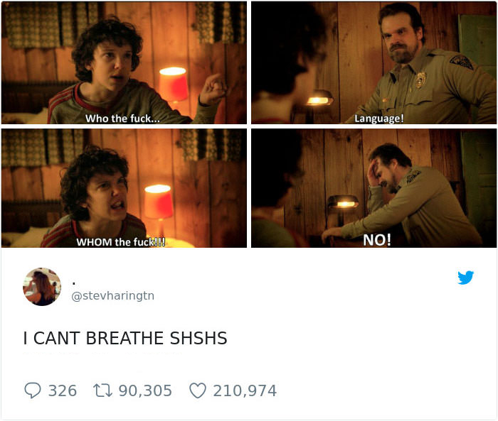 27 Strange Memes With Even Stranger Things