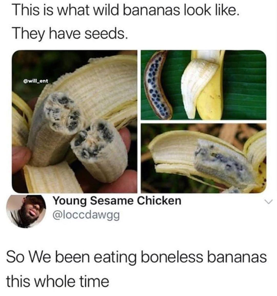 savage tweets - banana - This is what wild bananas look . They have seeds. Young Sesame Chicken So We been eating boneless bananas this whole time