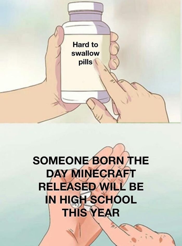 Gaming memes - pokimane tier 3 sub meme - Hard to swallow pills Someone Born The Day Minecraft Released Will Be In High School This Year