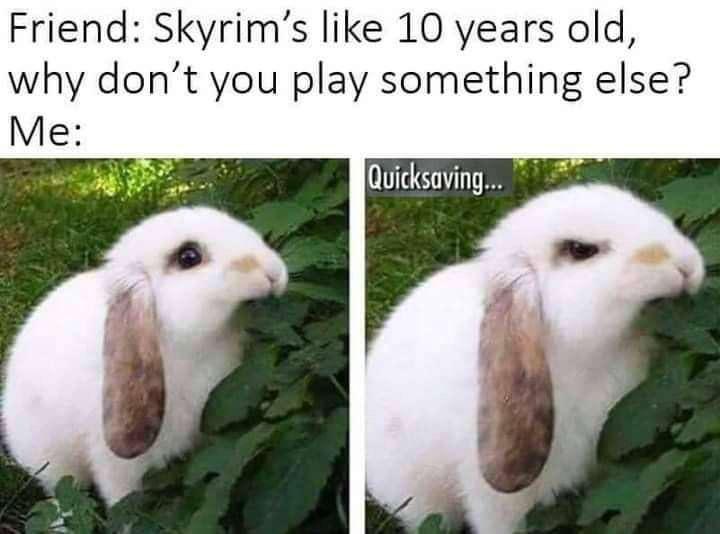 Gaming memes - can t stay mad at you meme - Friend Skyrim's 10 years old, why don't you play something else? Me Quicksaving...