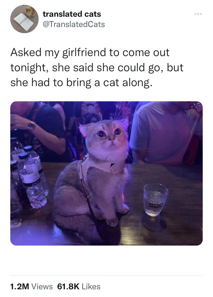 dank memes - photo caption - translated cats Cats Asked my girlfriend to come out tonight, she said she could go, but she had to bring a cat along. 1.2M Views Roc ...