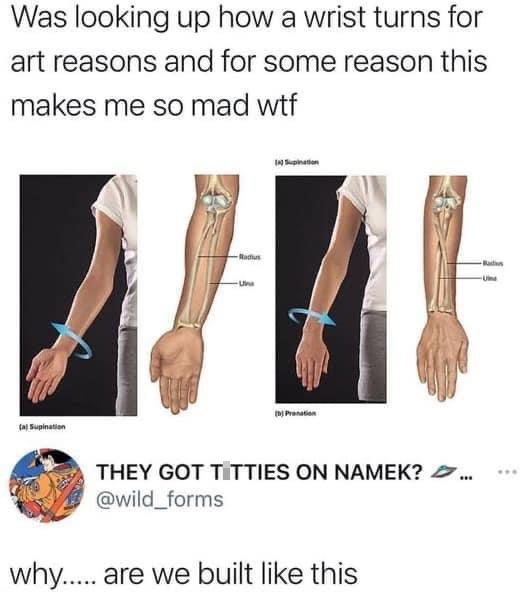 dank memes - wrist turns - Was looking up how a wrist turns for art reasons and for some reason this makes me so mad wtf al Supination Radhus Una Pranation They Got Titties On Namek?... why..... are we built this Bad