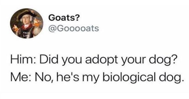 savage tweets - she's my biological dog - Goats? Him Did you adopt your dog? Me No, he's my biological dog.