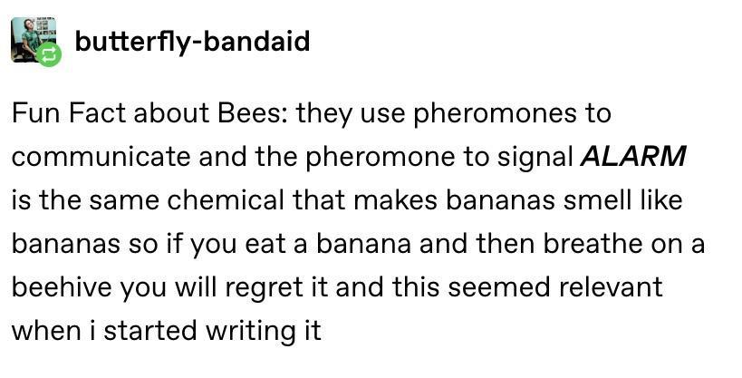 funny memes - document - butterflybandaid Fun Fact about Bees they use pheromones to communicate and the pheromone to signal Alarm is the same chemical that makes bananas smell bananas so if you eat a banana and then breathe on a beehive you will regret i