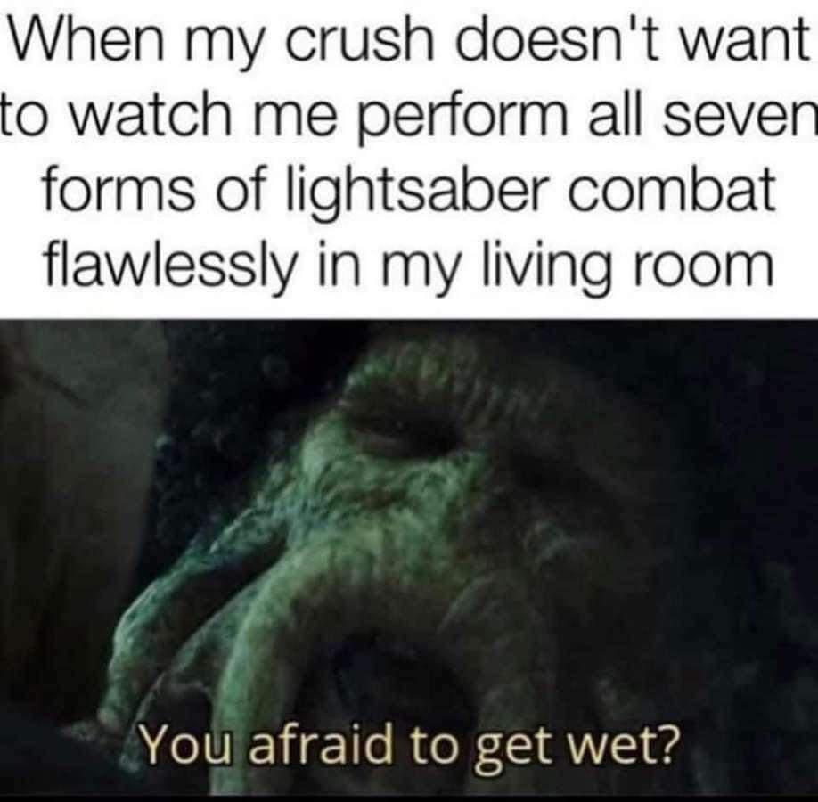 funny memes - photo caption - When my crush doesn't want to watch me perform all seven forms of lightsaber combat flawlessly in my living room You afraid to get wet?