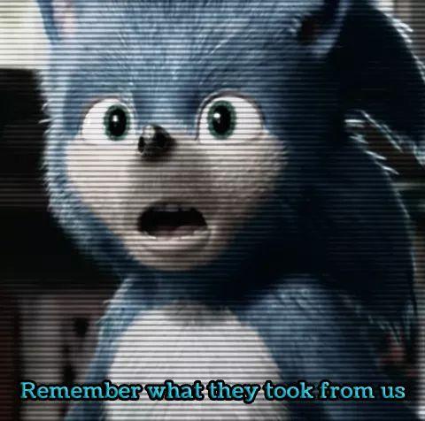 funny memes - sonic movie - Remember what they took from us