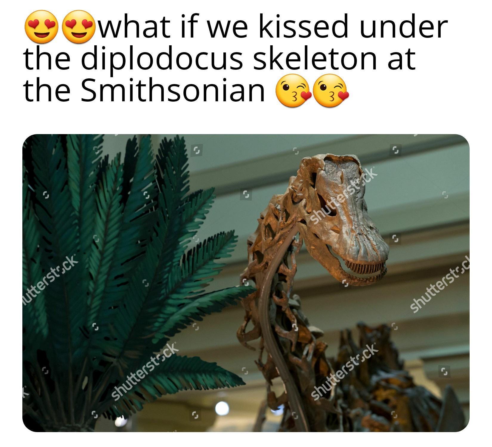 funny memems and tweetsfauna - the what if we kissed under diplodocus skeleton at the Smithsonian utterstock shutterstock 3 3 shutterstock shutterstock shutterstoc
