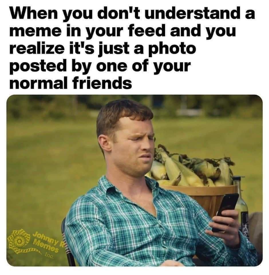 funny memems and tweetsphoto caption - When you don't understand a meme in your feed and you realize it's just a photo posted by one of your normal friends Johnny Memes Inc.