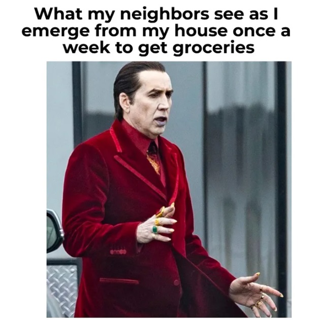 funny memems and tweetsnicolas cage dracula - What my neighbors see as I emerge from my house once a week to get groceries mes